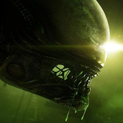 The Xenomorph, from Alien